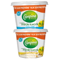 Campina kwark 